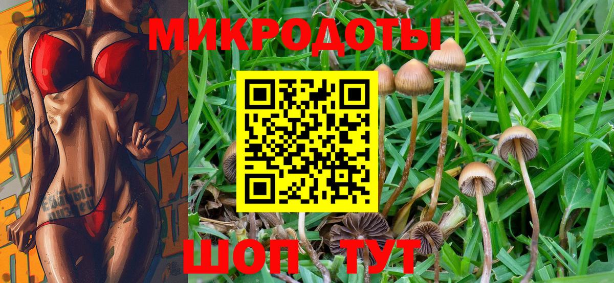 Иваново  Галлюциногенные грибы Psilocybe  Вход с VPN 