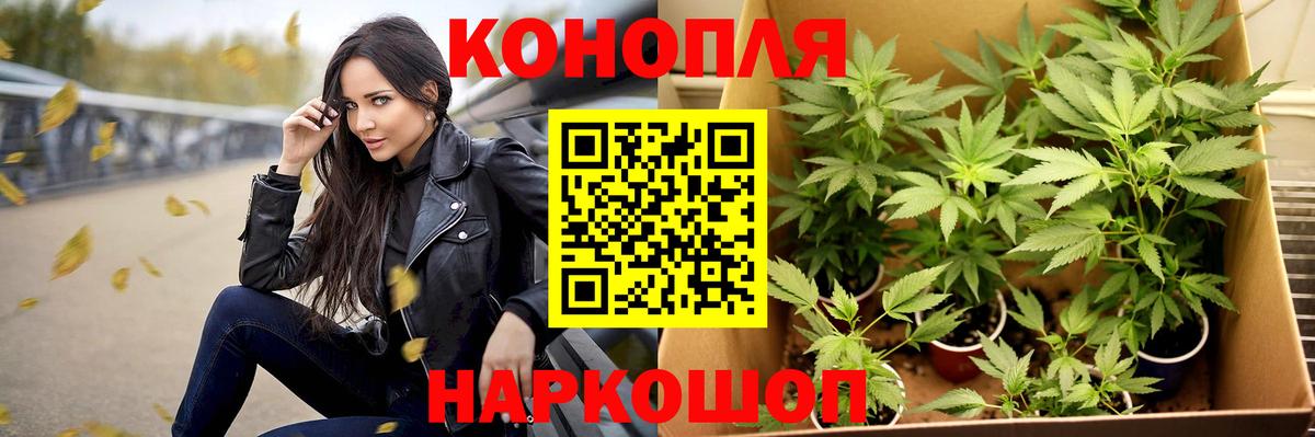 Канабис Ganja  Марихуана план  Вход с VPN  Иваново  Каннабис гибрид 